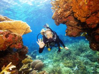 Channel Diver