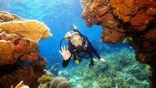 Channel Diver