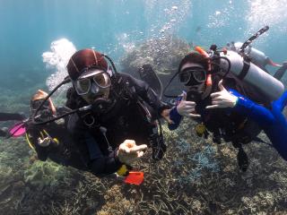 Diving