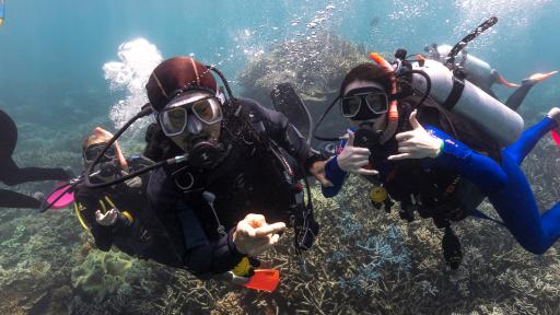 Diving
