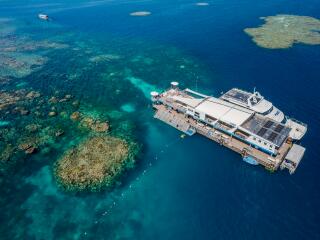 Reef Magic Pontoon