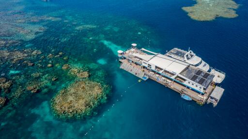 Reef Magic Pontoon