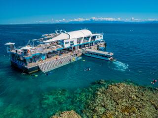 Reef Magic Pontoon