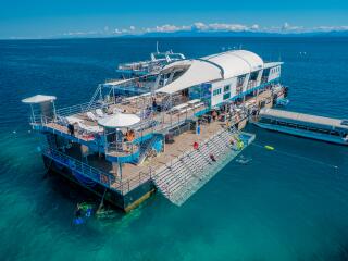 Reef Magic Pontoon