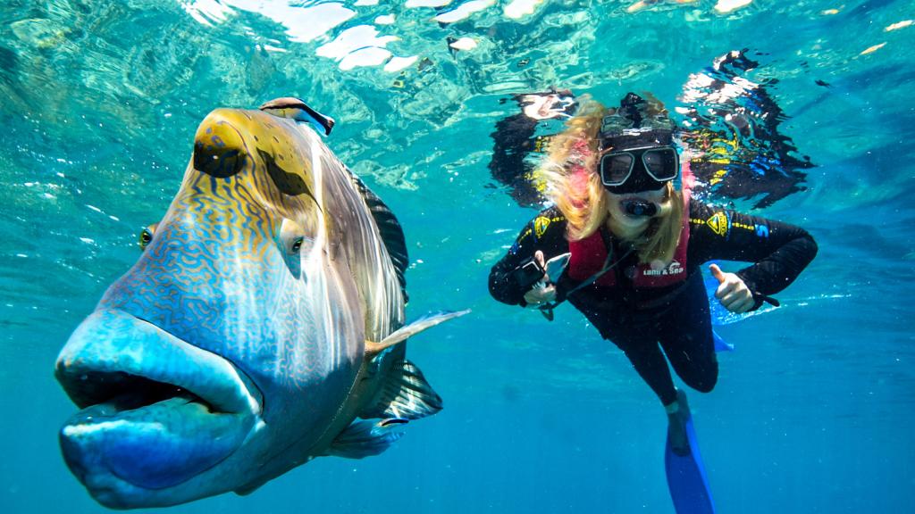 Snorkelling