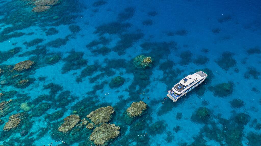 Silverswift Outer Barrier Reef Cruise