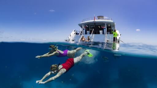 Silverswift Outer Barrier Reef Cruise Snorkeling