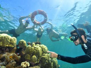 Guided Snorkel Safari