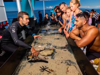 Marine Life Touch Tank