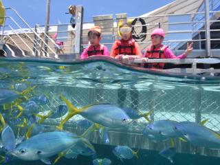 Ocean Enclosed Kids Pool