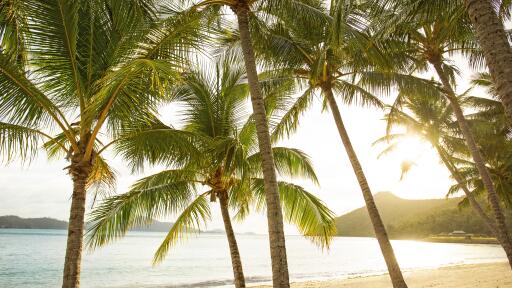 Catseye Beach