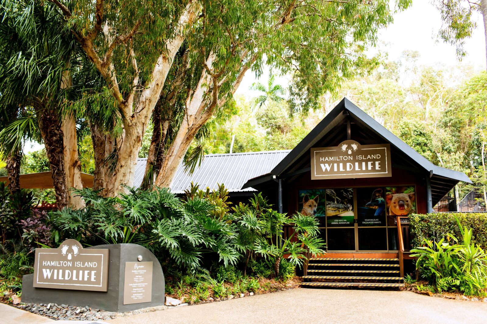 Hamilton Island Wildlife