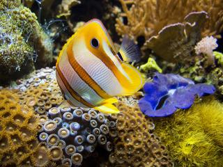 New Zealand - Sea Life Aquarium
