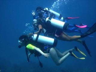 Hawaii Diving