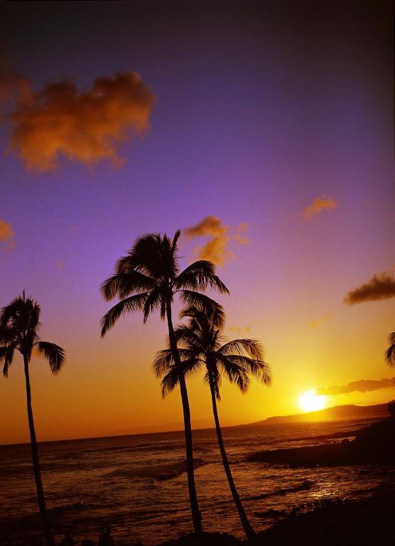 When is a good time to go to Hawaii?