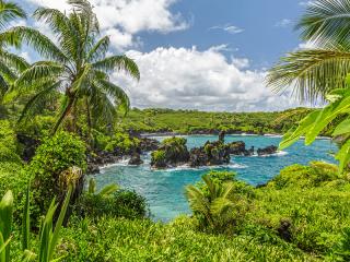 Blog - Generic - Waianapanapa, Maui