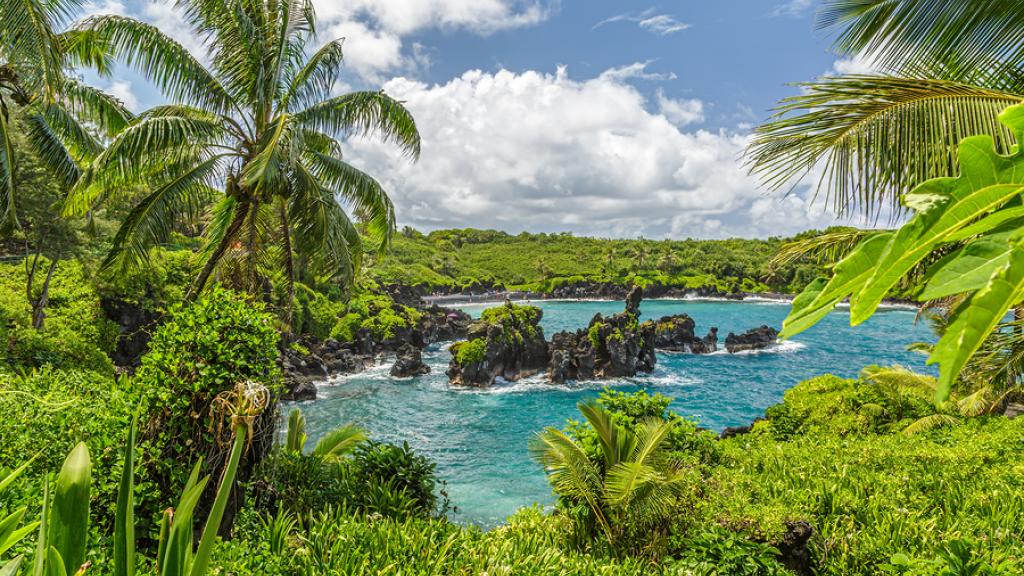Blog - Generic - Waianapanapa, Maui