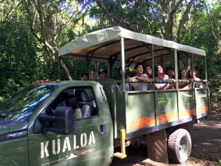 Best of Kualoa Experience Package - Jungle Expedition Tour
