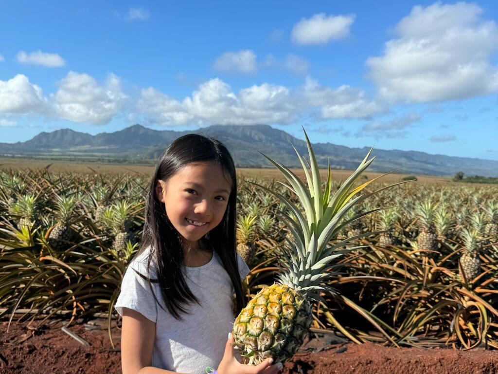 North Shore Dole Pineapple Farm Tour