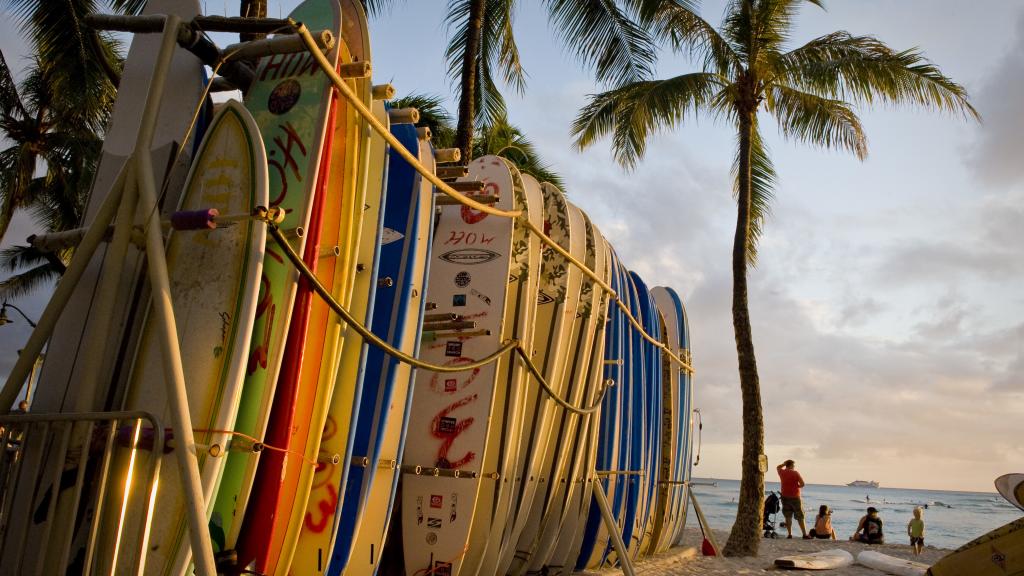 Hawaii Surfboards