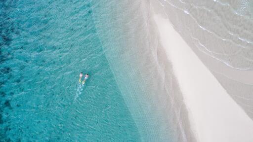 Langford Island Snorkelling