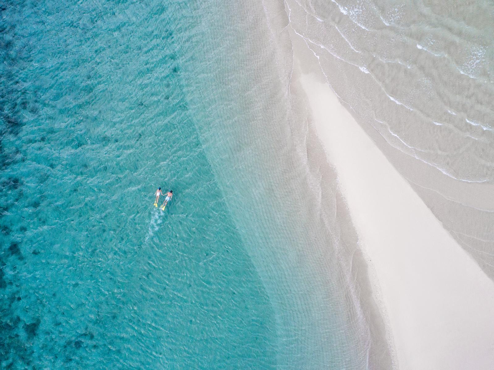 Snorkel Tour