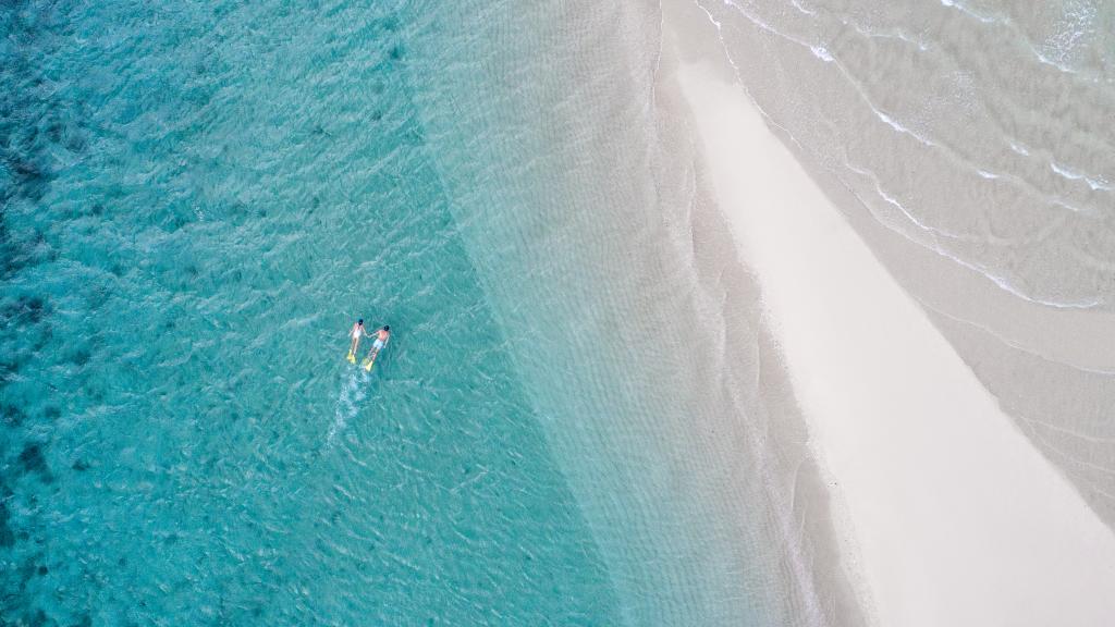 Snorkel Tour