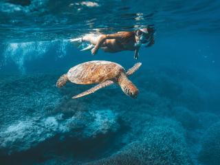 Snorkelling