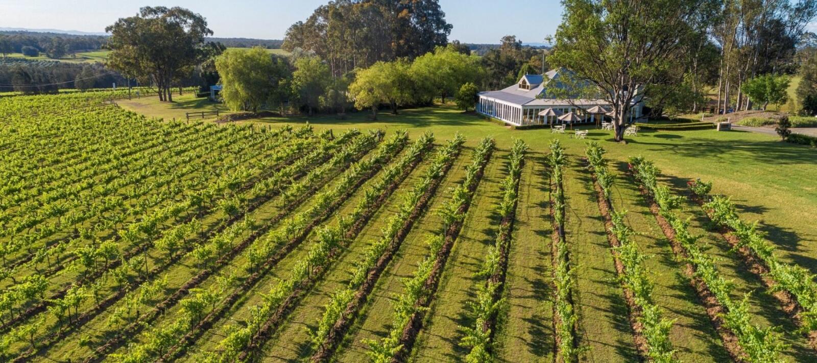 Spicers Vineyards Estate