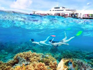 sunlover reef cruises-arlington reef tour great barrier reef cairns