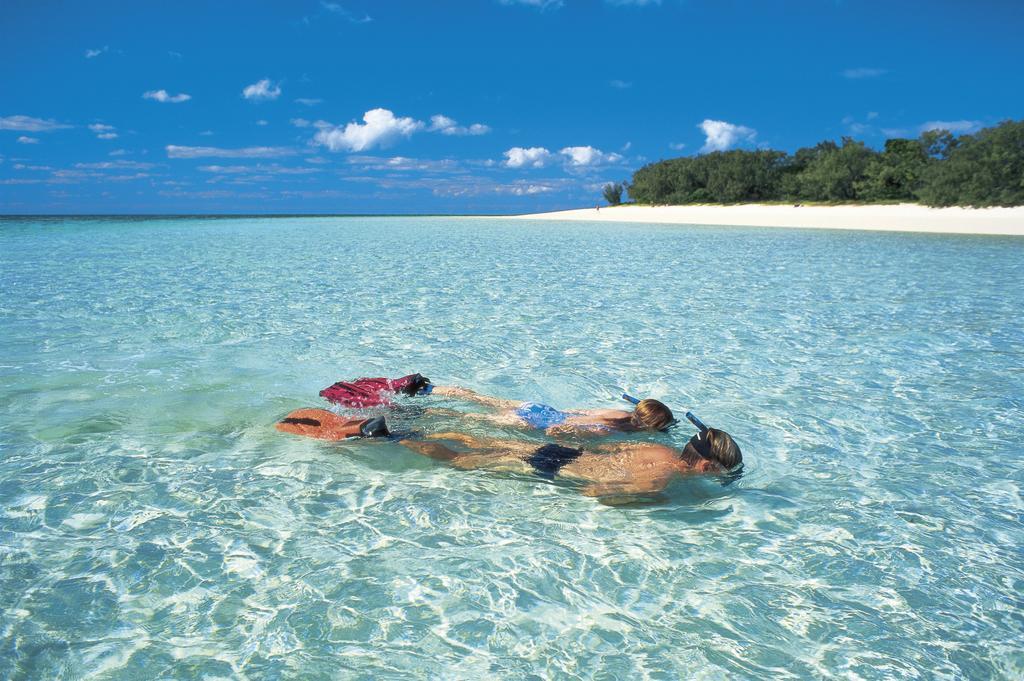 Heron Island snorkelling