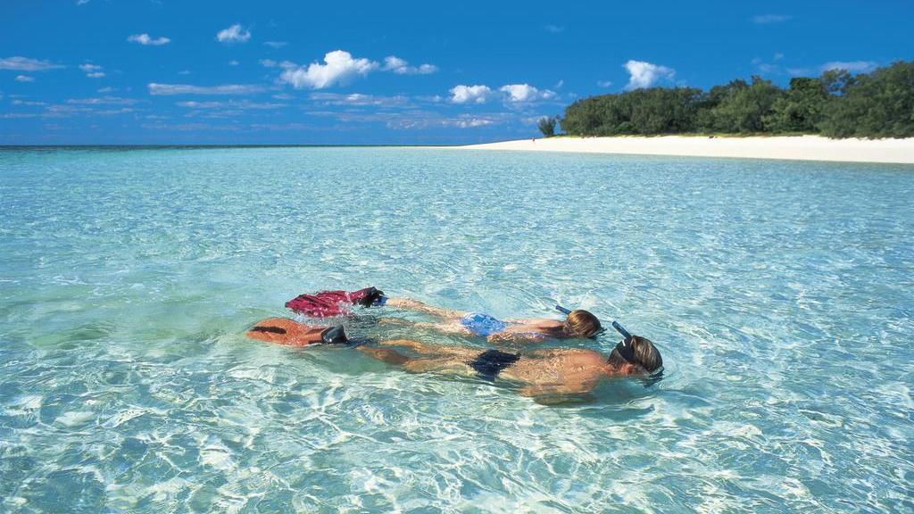 Heron Island snorkelling