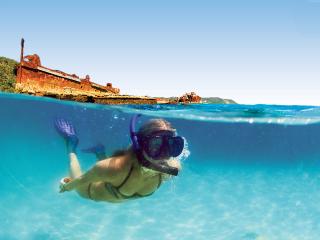 Snorkel Moreton Island