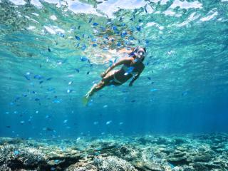 Snorkelling