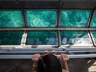 Glass Bottom Boat