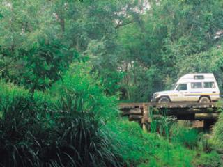 Fraser Island 4WD