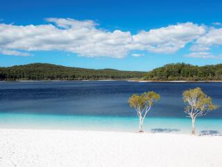 Day Tour Lake Mckenzie