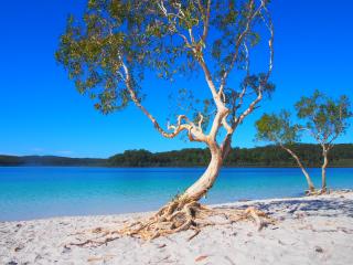 Discovery Group Fraser Island Day Tour