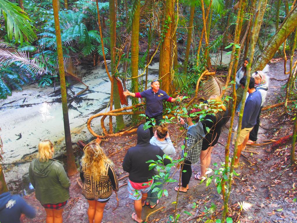 discovery fraser island tour