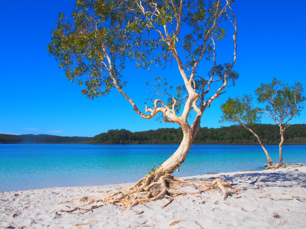 Fraser Island Discovery Tours Noosa Fraser Island Discovery Tours Noosa