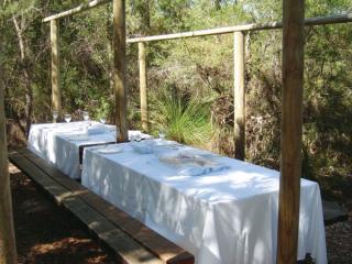Lunch setting at Lake McKenzie