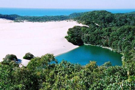 Fraser Island Day Tours From Noosa Fraser Island Day Tours From Noosa