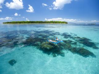 Reef