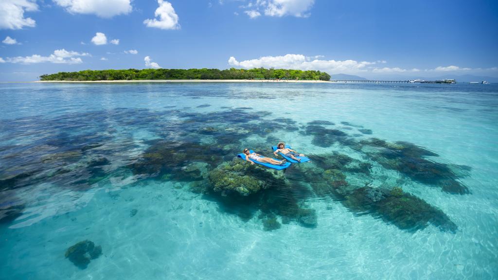 Reef