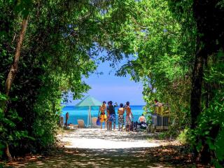 Walkway to Beach