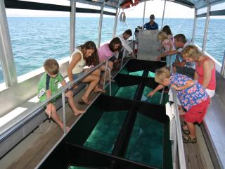 Glass Bottom Boat
