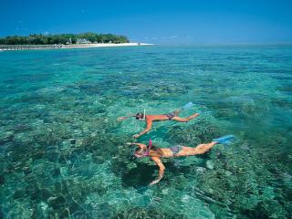 Snorkelling Green Island