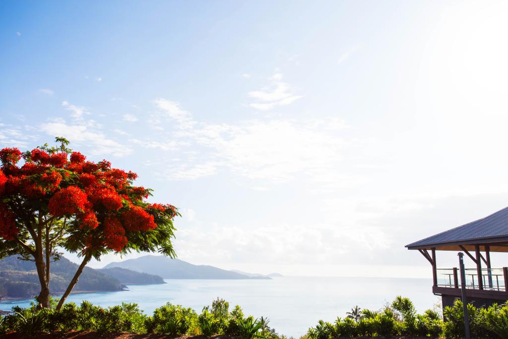Hamilton Island Yacht Club Villas Accommodation