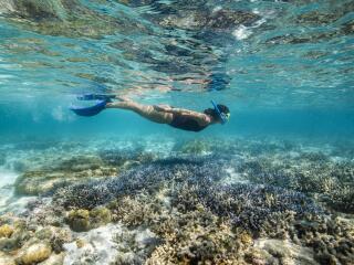 Great Barrier Reef Adventure - Cruise Whitsundays