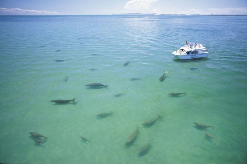 Cheap deals tangalooma resort